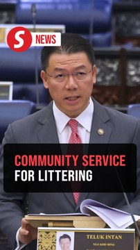 Amendments to act to introduce community service for littering offences