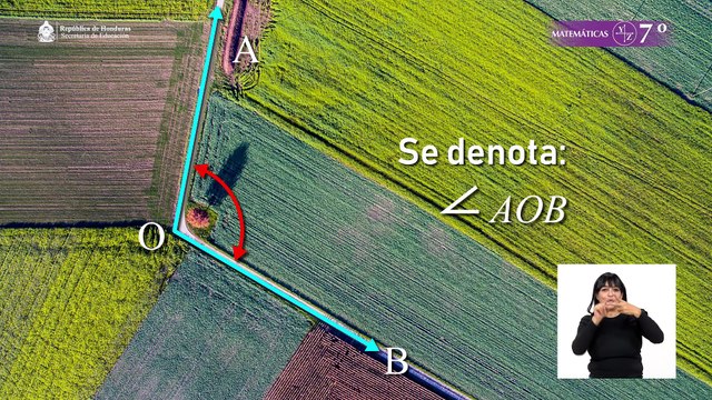 Semirrectas y un vértice común #16, 7º Matemáticas Lección Educativa