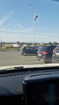 Enxame de abelhas em estacionamento da Havan em Barra Velha chama atenção e gera alerta