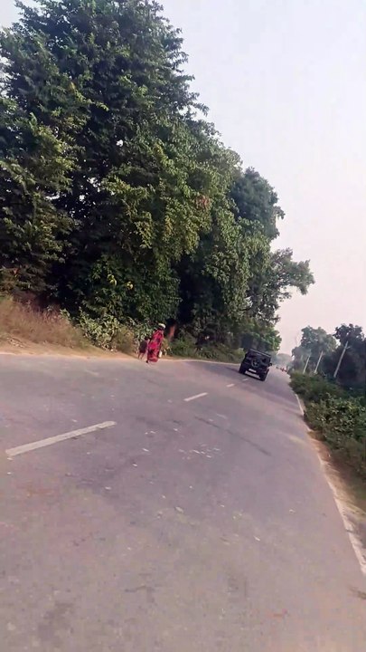 Jungle road thar view