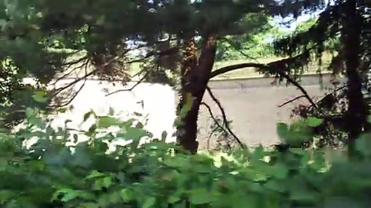 summer 2025  czech republic, prague, visehradn, old town