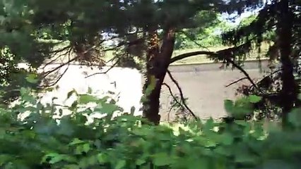 summer 2025  czech republic, prague, visehradn, old town