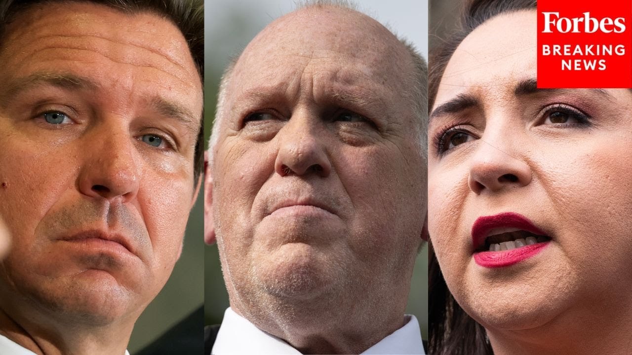 'That Is Racial Profiling!': Delia Ramirez Unloads On Tom Homan & Ron DeSantis Over Deportations