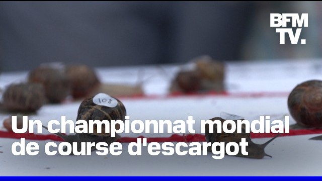 L'Angleterre a accueilli un championnat mondial de course d'escargot