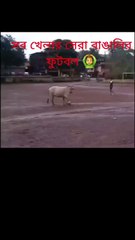 A beautiful white bull human playing football amazing 🤩🤩