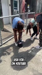 The Only Place In The Country Where You Can Smoke D In Public And Not Get Arrested For It