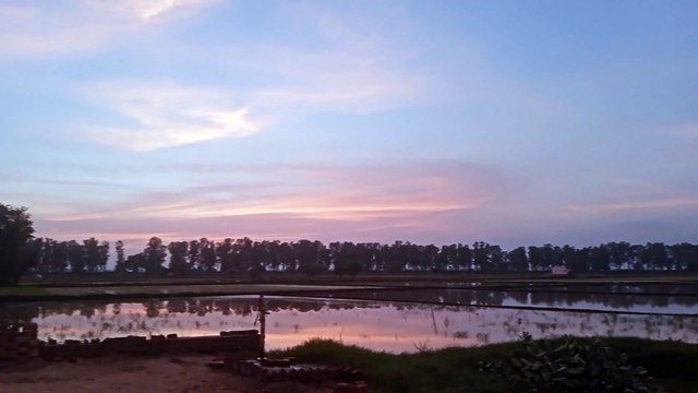 Colorful Nature at Evening | Birds chirping | Relaxing | Beauty of nature | Scenic beauty | Beautiful Nature View | Amit Parmar