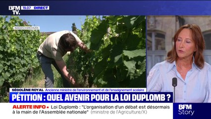 Story 5 : Ségolène Royal, "J'ai signé la pétition" Duplomb - 21/07