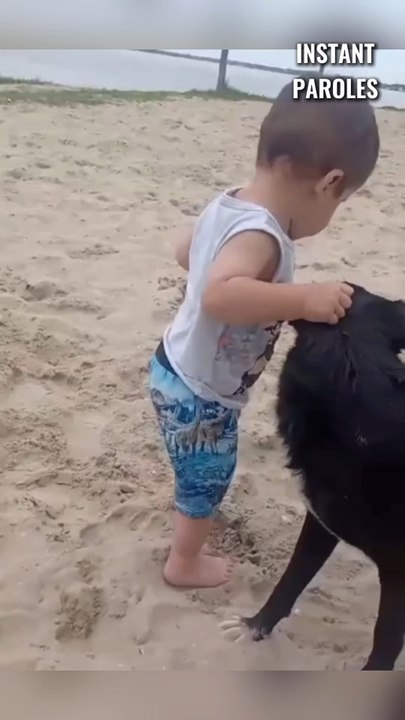 Ce petit garçon reçoit le soutien de ce chien pour marcher sur le sable