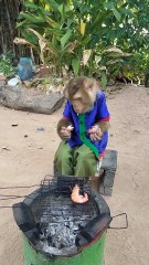 46. Mommy with Baby Monkey