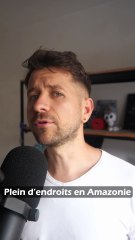 Les rivières volantes ont créé l'Amazonie !