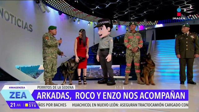 Arkadas, Enzo y Roco, perritos rescatistas del Ejército Mexicano, visitan el foro de Imagen Noticias