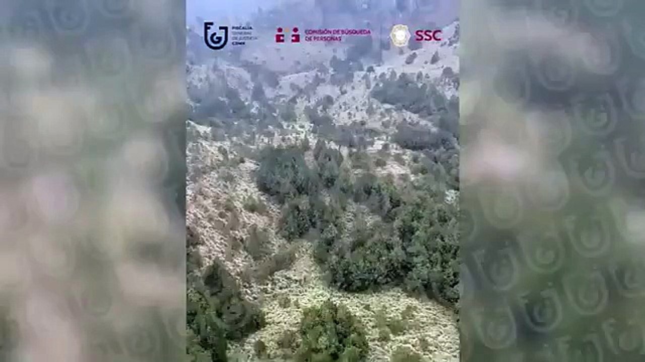 busqueda ana amelí
