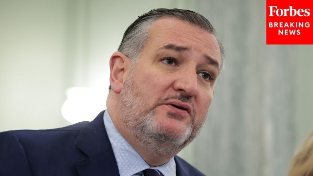 Ted Cruz Warns Of Drivers With 'Fraudulently-Issued' Mexican Driver's Licenses Are Now On U.S. Roads