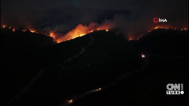 Sakarya'da orman yangını! 2 mahalle tahliye edildi