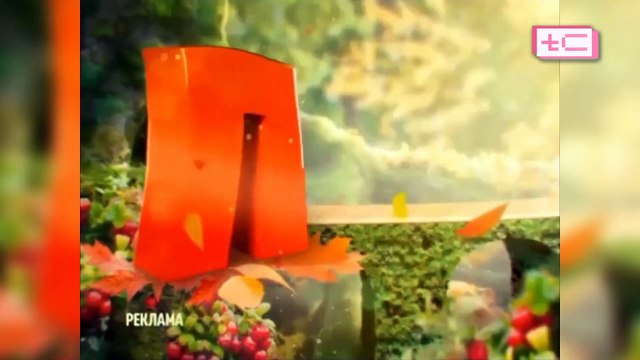 История рекламных заставок телеканалов Fox Kids / Jetix / Канал Disney / Солнце (Регресс)