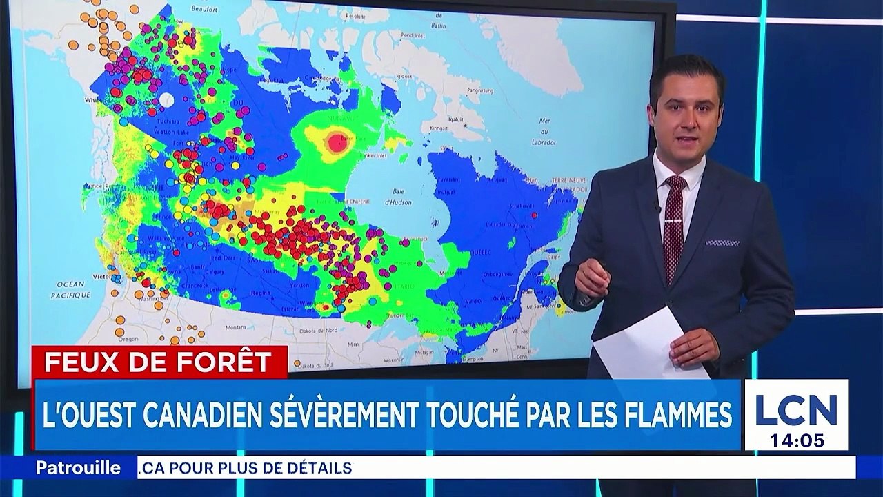 lcn maintenant dimanch  20 juillet 2025