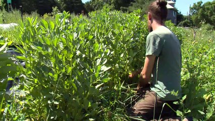 Topo Maraîchers: Guide et Astuces