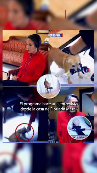 Perro de Florinda Meza juega con peluche de Quico y desata polémica