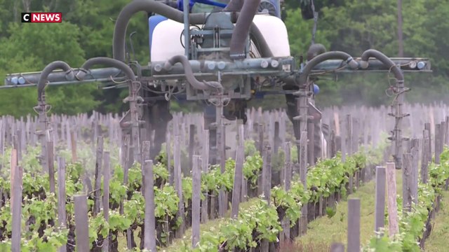 Loi Duplomb : la droite et la gauche divisées