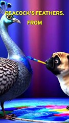 “The Peacock Who Lost His Colors”