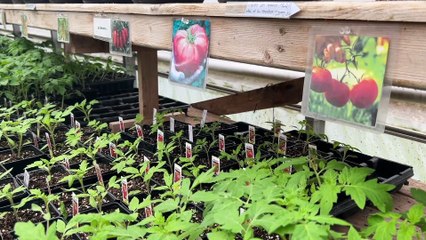 21 juillet TOPO AD Agriculture interprovinciale