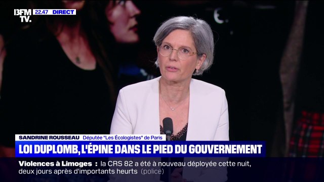Loi Duplomb: Un débat ne suffit pas, il faut l'abrogation de cette loi , déclare Sandrine Rousseau, députée Les Écologistes