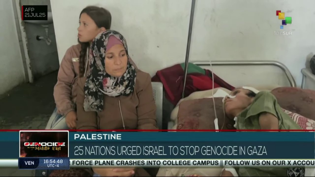 Palestine | 25 nations urged Israel to stop genocide in Gaza