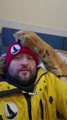 Gust a big cat 😺=🐯