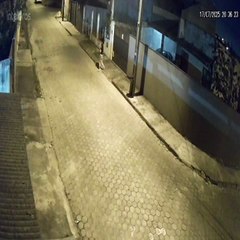 Filhote de cachorro abandonado em Joinville