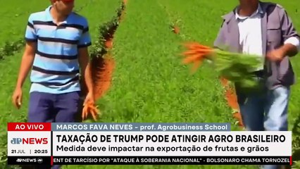 Como o tarifaço de Trump pode afetar o setor produtivo brasileiro? Marcos Fava Neves analisa