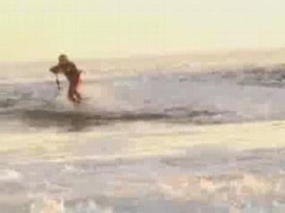 Shark surfer