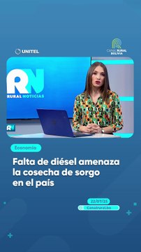 Falta de diésel amenaza la cosecha de sorgo en el país