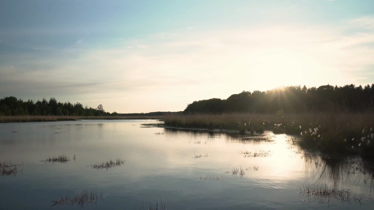 Clarté du Soir & Eaux Calmes ~ Guitare Relaxante 4K