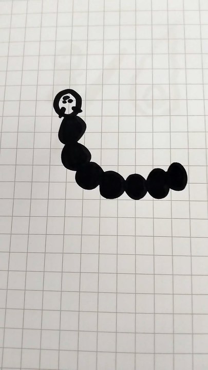 Bruco nero disegno