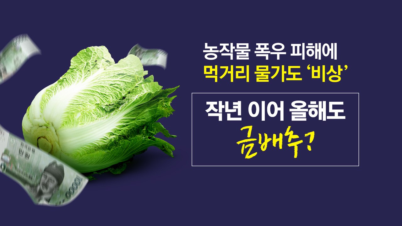 폭염 이어 폭우, 다시 폭염...먹거리 물가 초비상 [앵커리포트] / YTN
