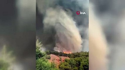 Sakarya'daki yangın Bilecik'e sıçradı! Alev hortumu kamerada...