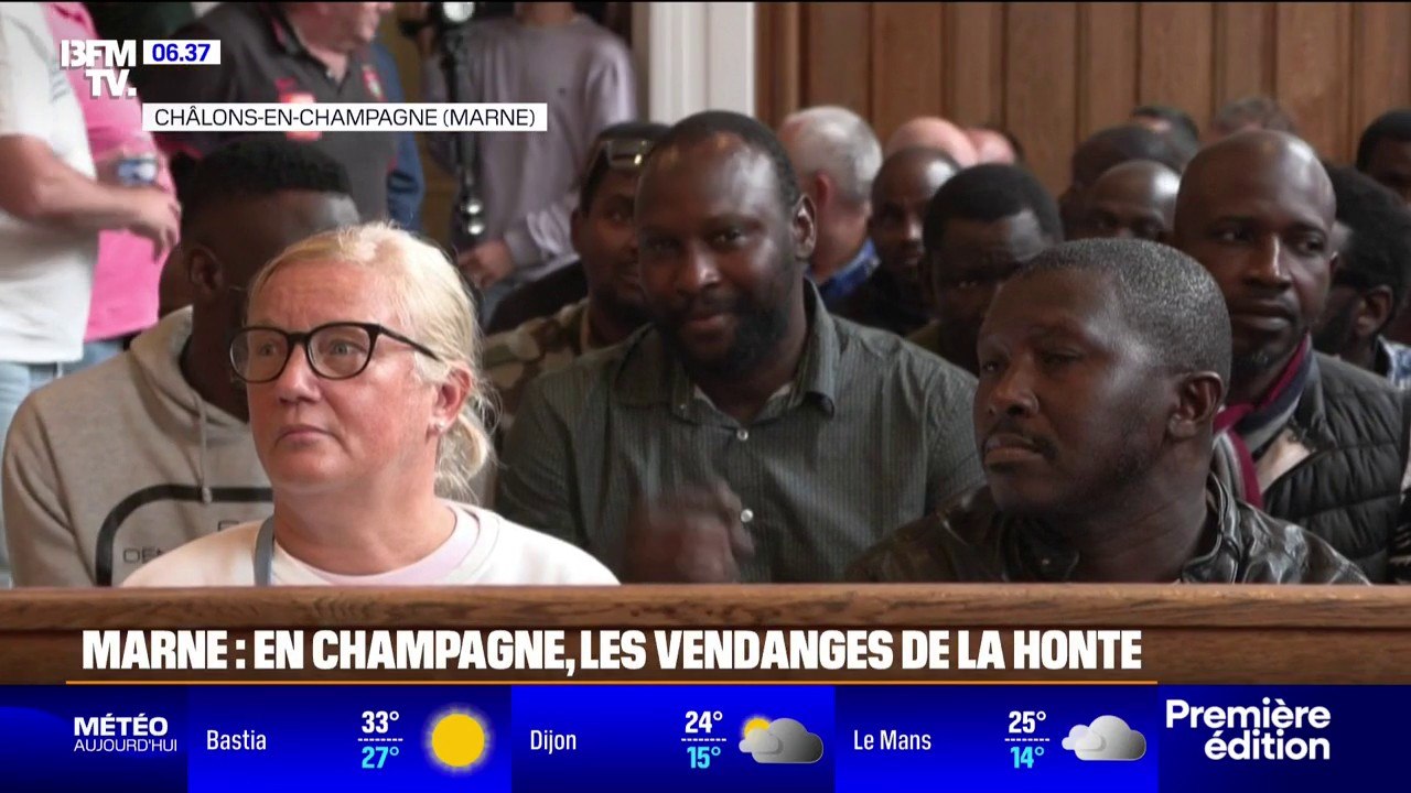 Vendanges en Champagne: trois personnes condamnées à de la prison ferme pour traite d'êtres humains