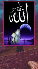 "وَتُِغزو مَن تَشاء وَتذِلُّ مَن تشَاْ" بےشک عزت اور زلت اللہ تعالیٰ کے ہاتھ میں ہے۔ ♥️♥️♥️♥️♥️♥️♥️♥️♥️♥️♥️