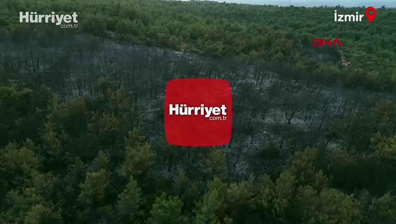 Urla'daki orman yangınında yanan alanlar havadan görüntülendi