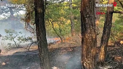 Eskişehir’de orman yangınına müdahale sürüyor
