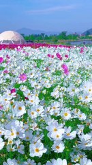 World most beautiful places on earth 🌹🌹❤️❤️