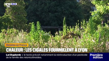 "La priorité c'est la sécurité des consommateurs": UFC-Que Choisir se mobilise après le scandale des airbags Takata