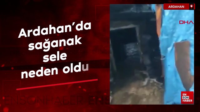 Ardahan'da sağanak sele neden oldu