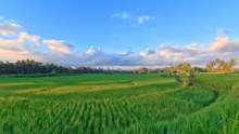 Berlari Di Alam. Kayon Run Ubud Bali 20 Juli 2025#KayonRun #RunInNature #UbudBali #TheKayonJungleResort #NgurahSuryaKusuma