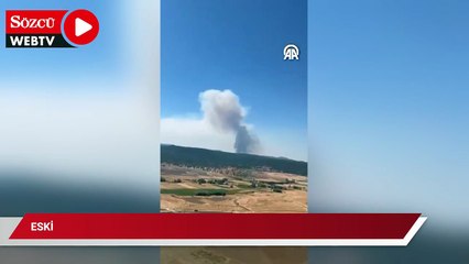 Eskişehir'de ormanlık alanda yangın çıktı