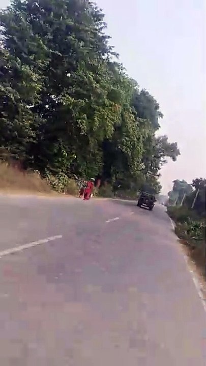 Jungle road thar view