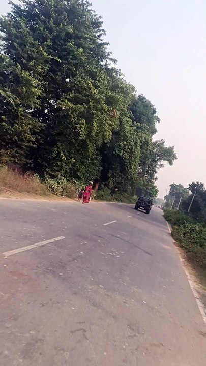 Jungle road thar view
