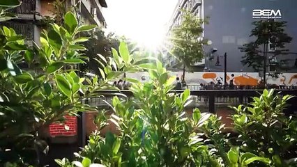 Cultural District 2025: พระนคร ออน โอ่งอ่าง – BKK by the Canal