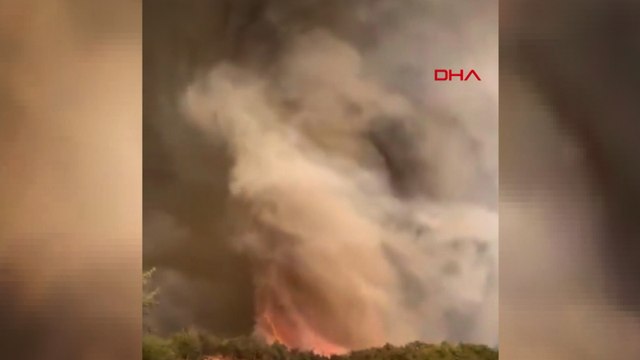 Sakarya’da başlayan orman yangını Bilecik’e sıçradı: Alev hortumu oluştu